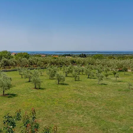 Nemcev 1302 Holiday home